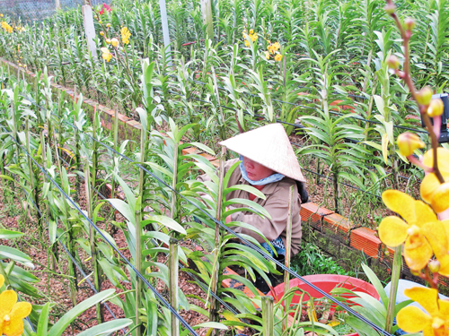 Hiệu quả từ chương trình giảm nghèo ảnh 2